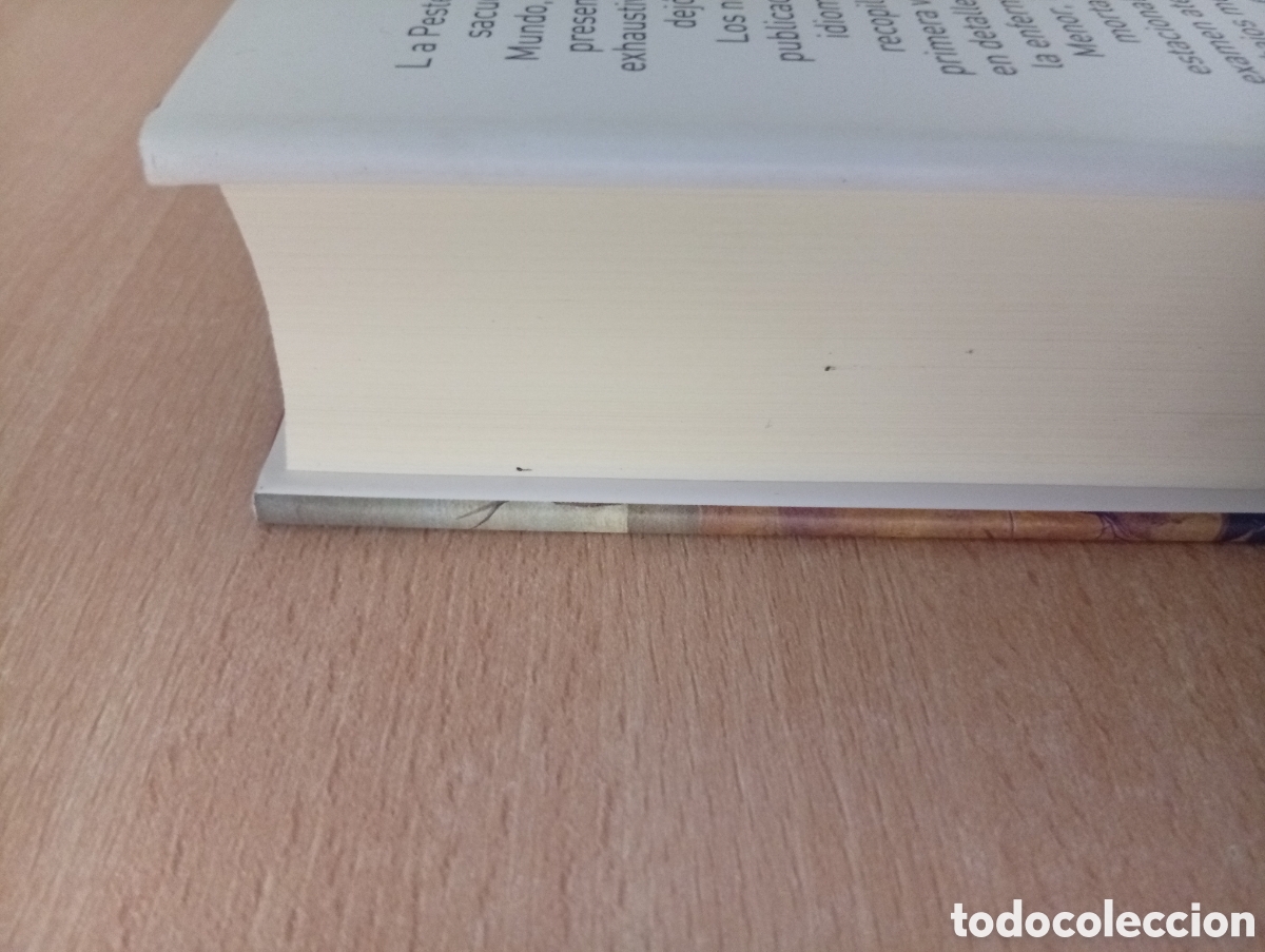 Libros de segunda mano: LA PESTE NEGRA (1346-1353). Ole J. Benedictow. Ediciones Akal - Foto 6