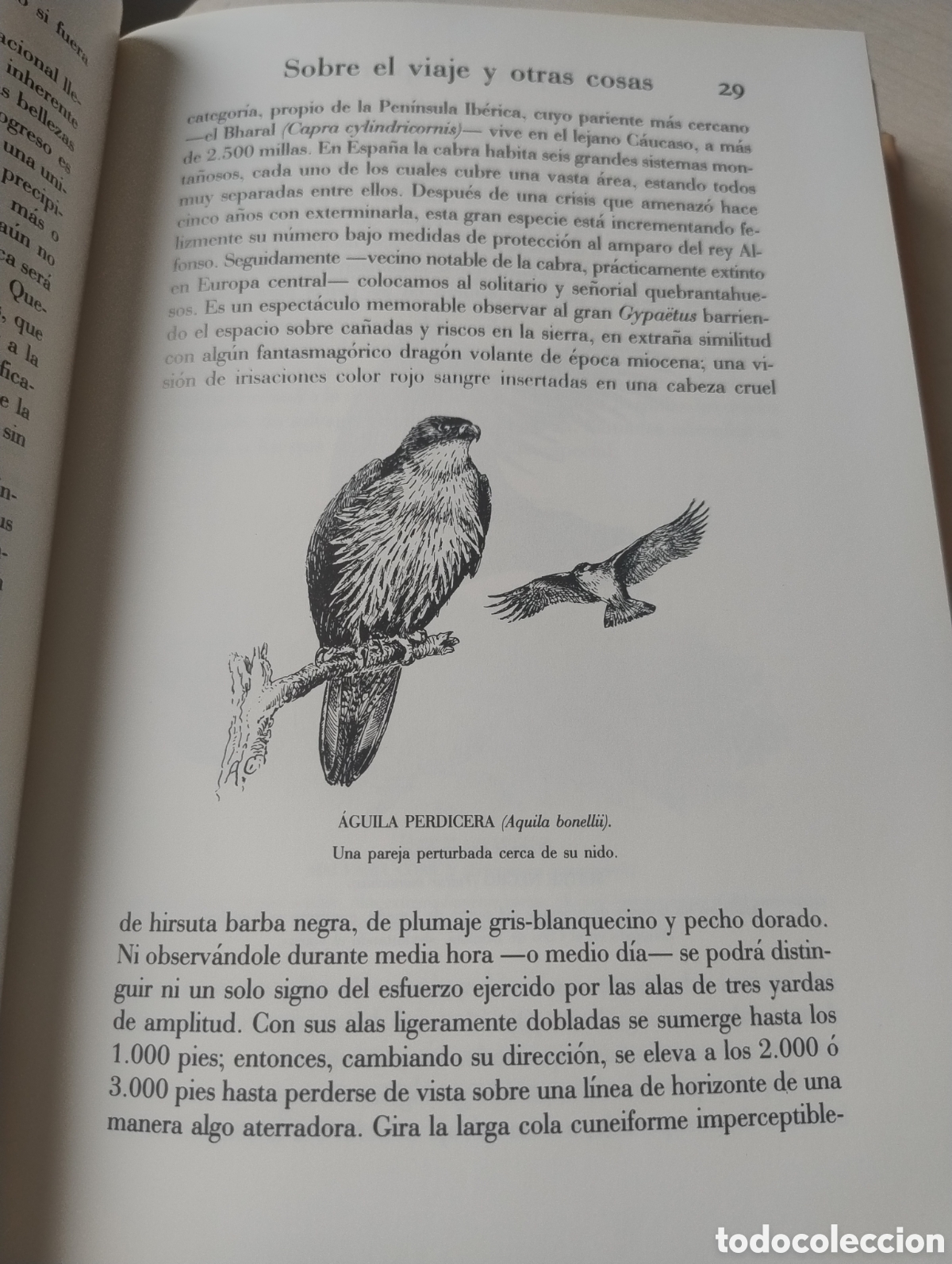 Libros de segunda mano: La Espa&ntilde;a inexplorada - Foto 6