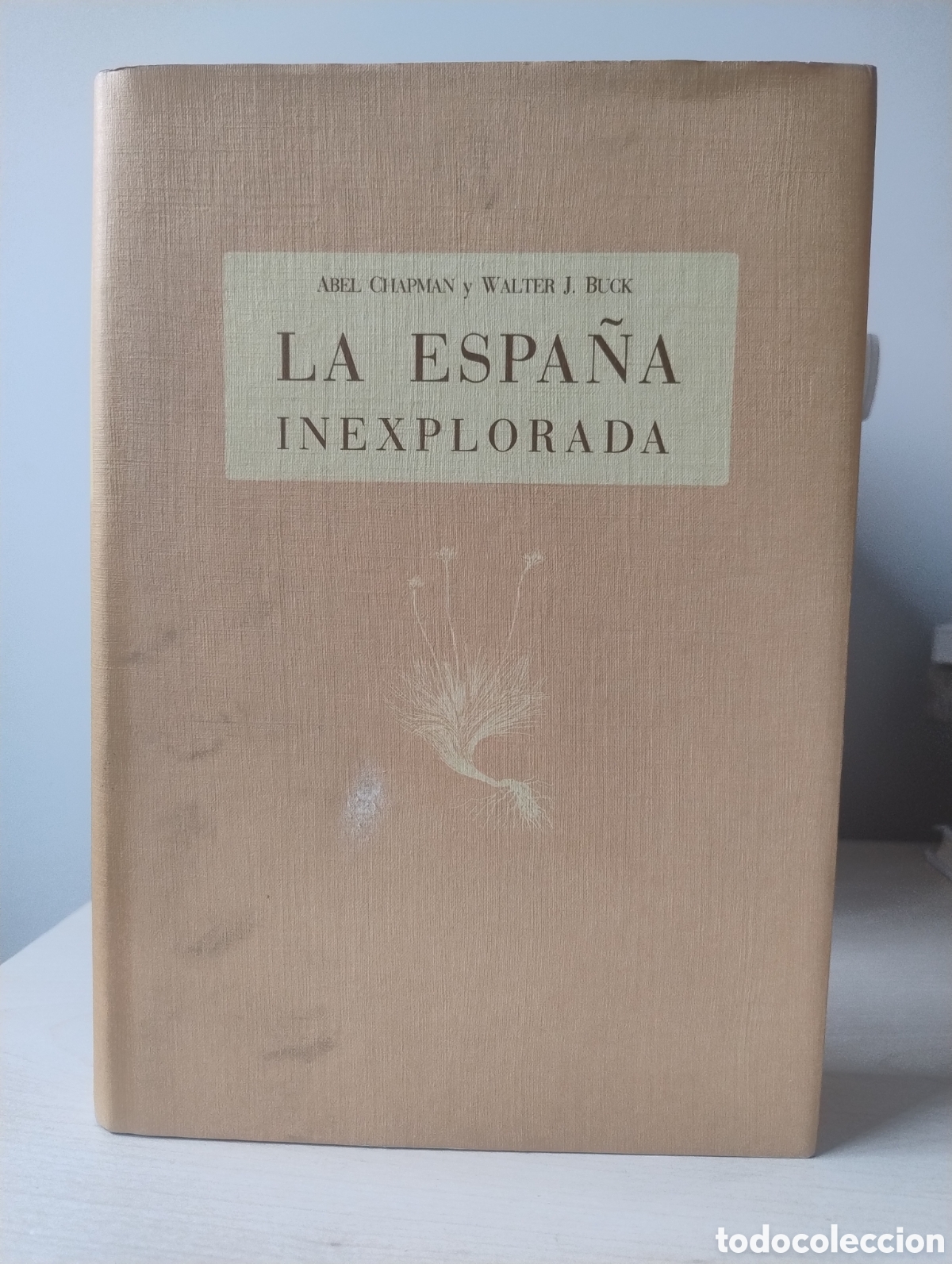 Libros de segunda mano: La Espa&ntilde;a inexplorada