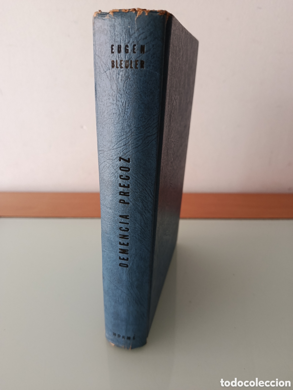 Libros de segunda mano: DEMENCIA PRECOZ EL GRUPO DE LAS ESQUIZOFRENAS. EUGEN BLEULER 1960 BUENOS AIRES