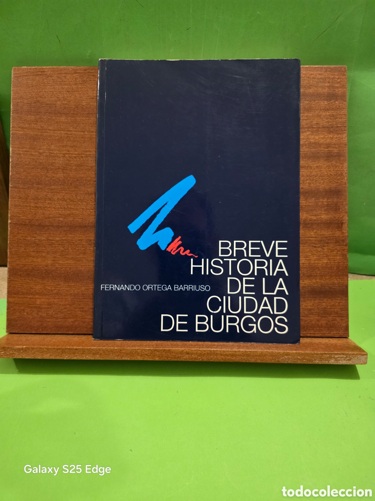 Libros de segunda mano: &rdquo;&rdquo;BREVE HISTORIA DE LA CIUDAD DE BURGOS&rdquo;&rdquo;...FERNANDO ORTEGA BARRIUSO...BURGOS...1996...