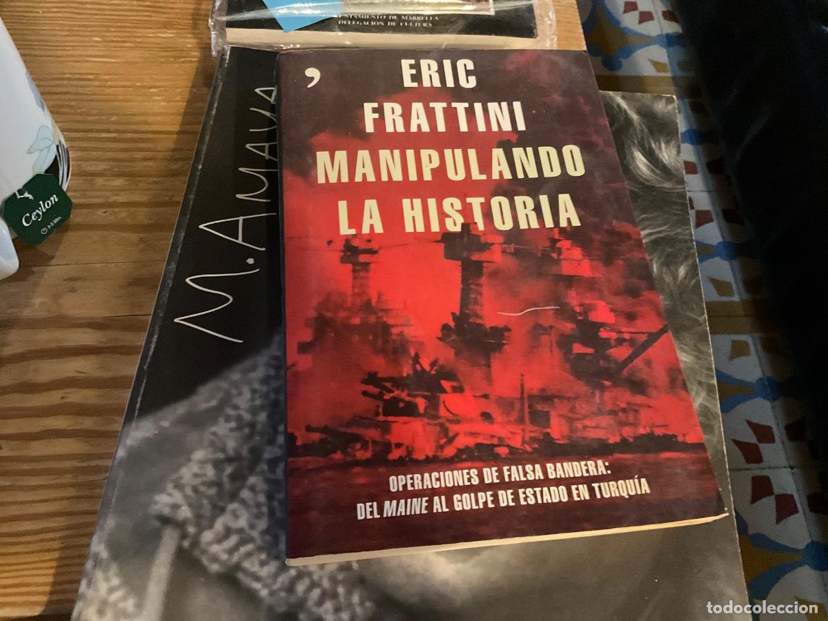 Libros de segunda mano: MANIPULANDO LA HISTORIA / ERIC FRATTINI / 2016. TEMAS DE HOY