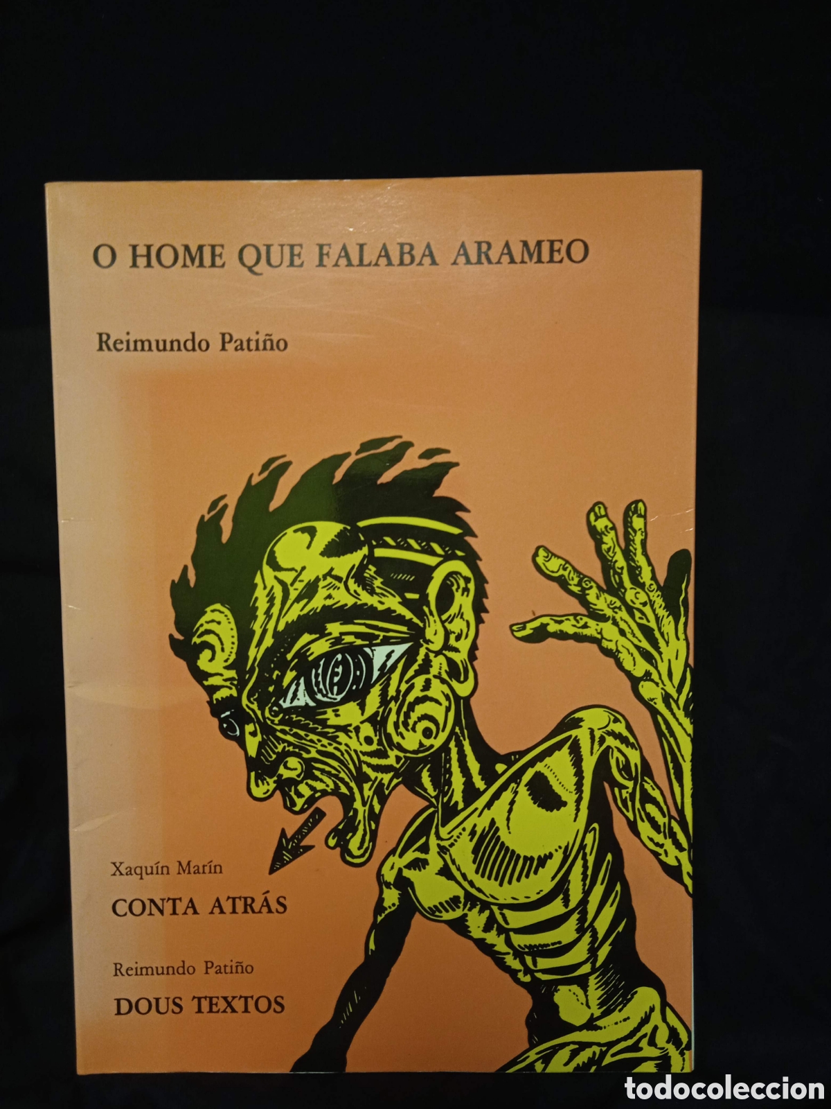 Libros de segunda mano: O HOME QUE FALABA ARAMEO - REIMINDO PATI&Ntilde;O - DO CASTRO 1988 #K8