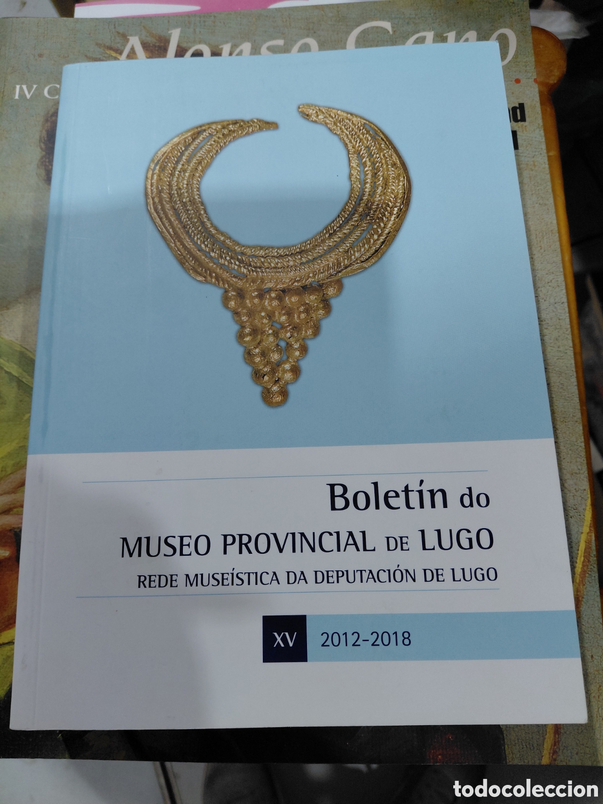 Libros de segunda mano: LIBRO ARQUEOLOGIA/BOLETIN DO MUSEO PROVINCIAL DE LUGO 2012/2018. In 4&ordm; Mayor rustica ilustrada solap