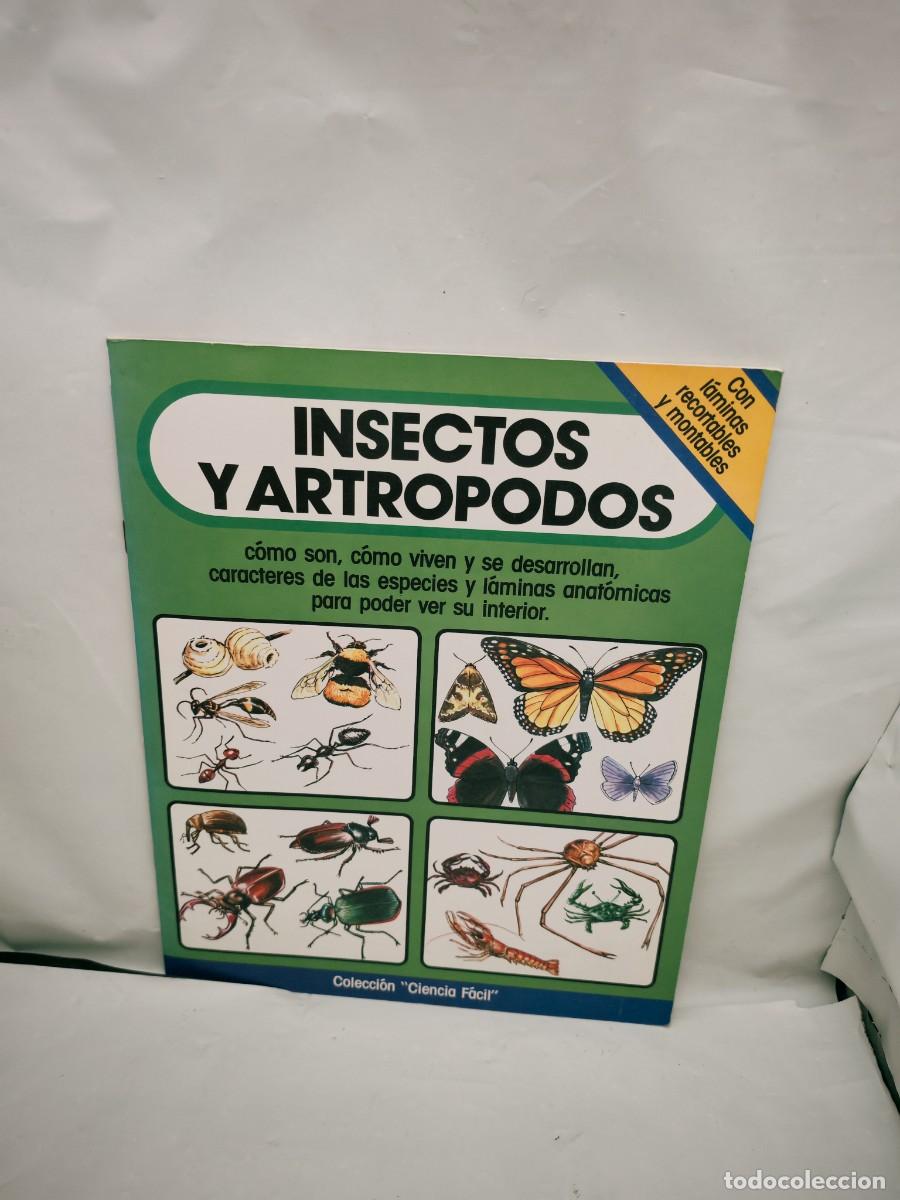 Libri di seconda mano: Insectos y Artr&oacute;podos (Colecci&oacute;n: Ciencia F&aacute;cil. Con L&aacute;minas Recortables)