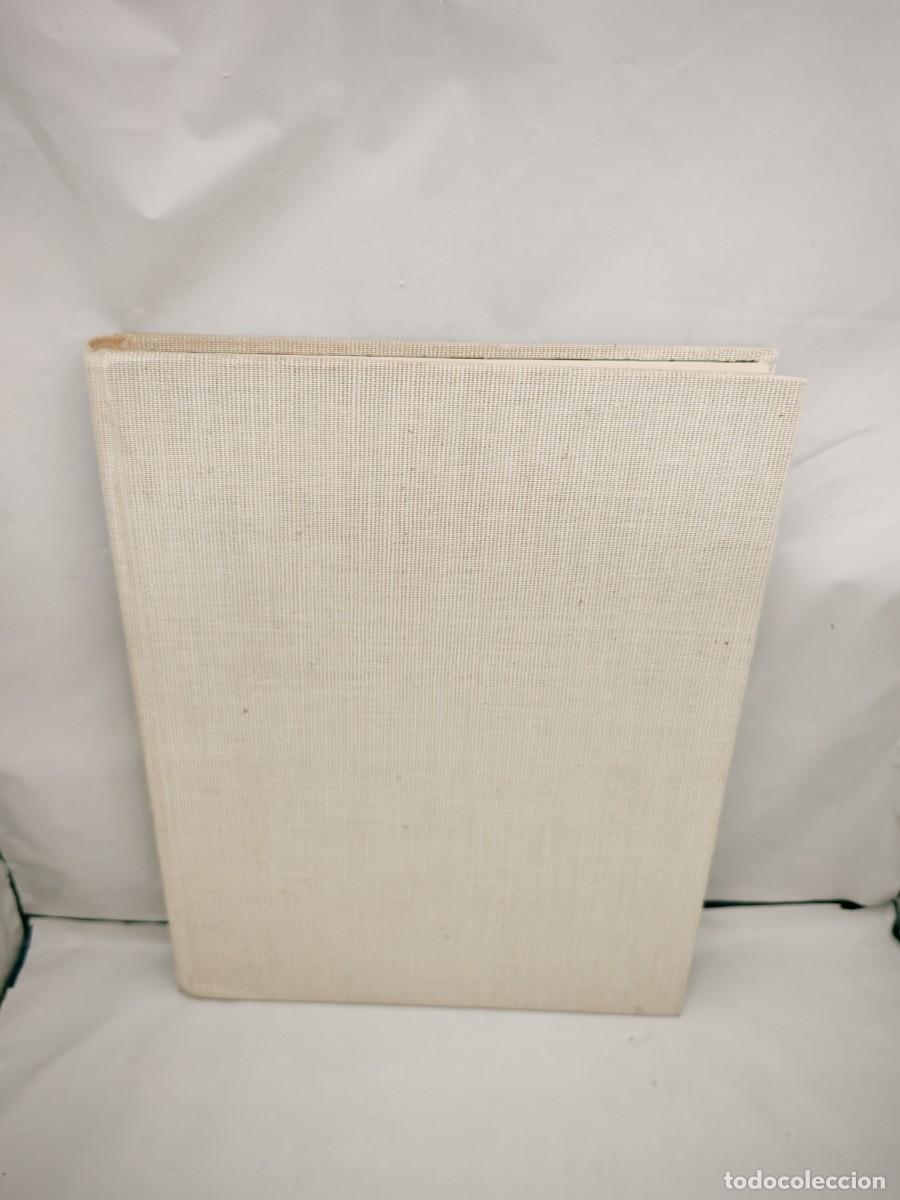 Livres d'occasion: Ilustrar es f&aacute;cil, Tomo II (Primera edici&oacute;n, tapa dura sin sobrecubierta)