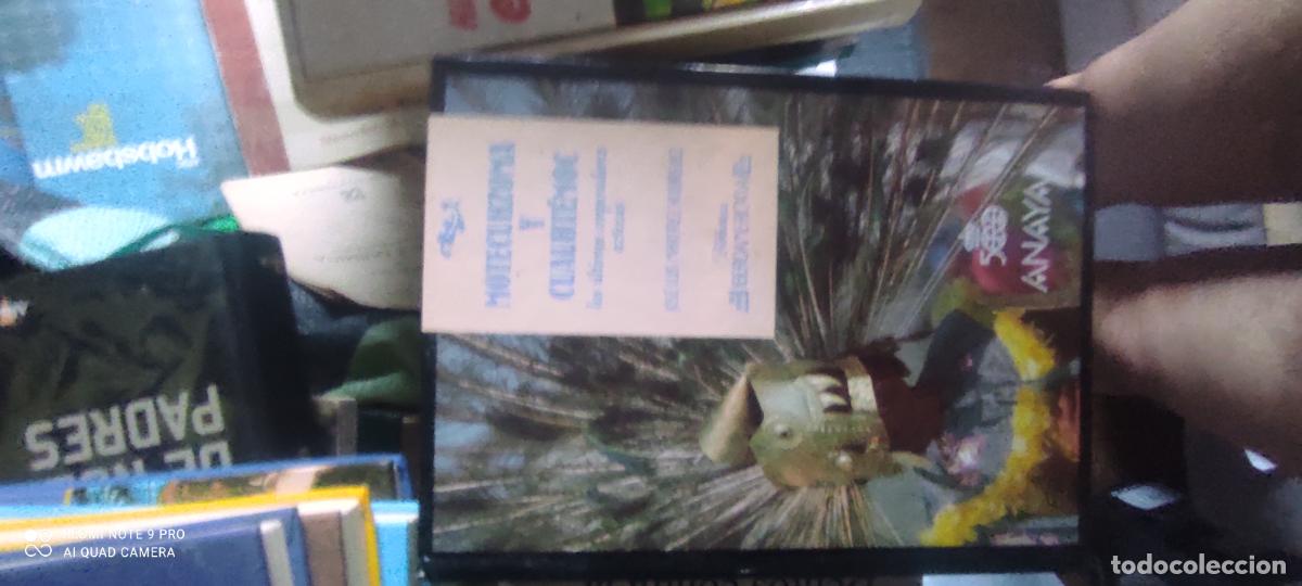 Libros de segunda mano: MONTECUHZOMA Y CUAHTEMOC BIBLIOTECA IBEROAMERICANA ANAYA
