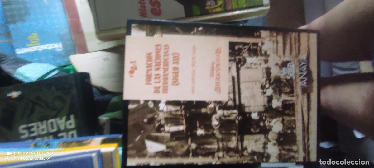 Libros de segunda mano: FORMACI&Oacute;N DE LAS NACIONES IBEROAMERICANAS (SIGLO XIX) - MARIO HERN&Aacute;NDEZ S&Aacute;NCHEZ-BARBA - ANAYA