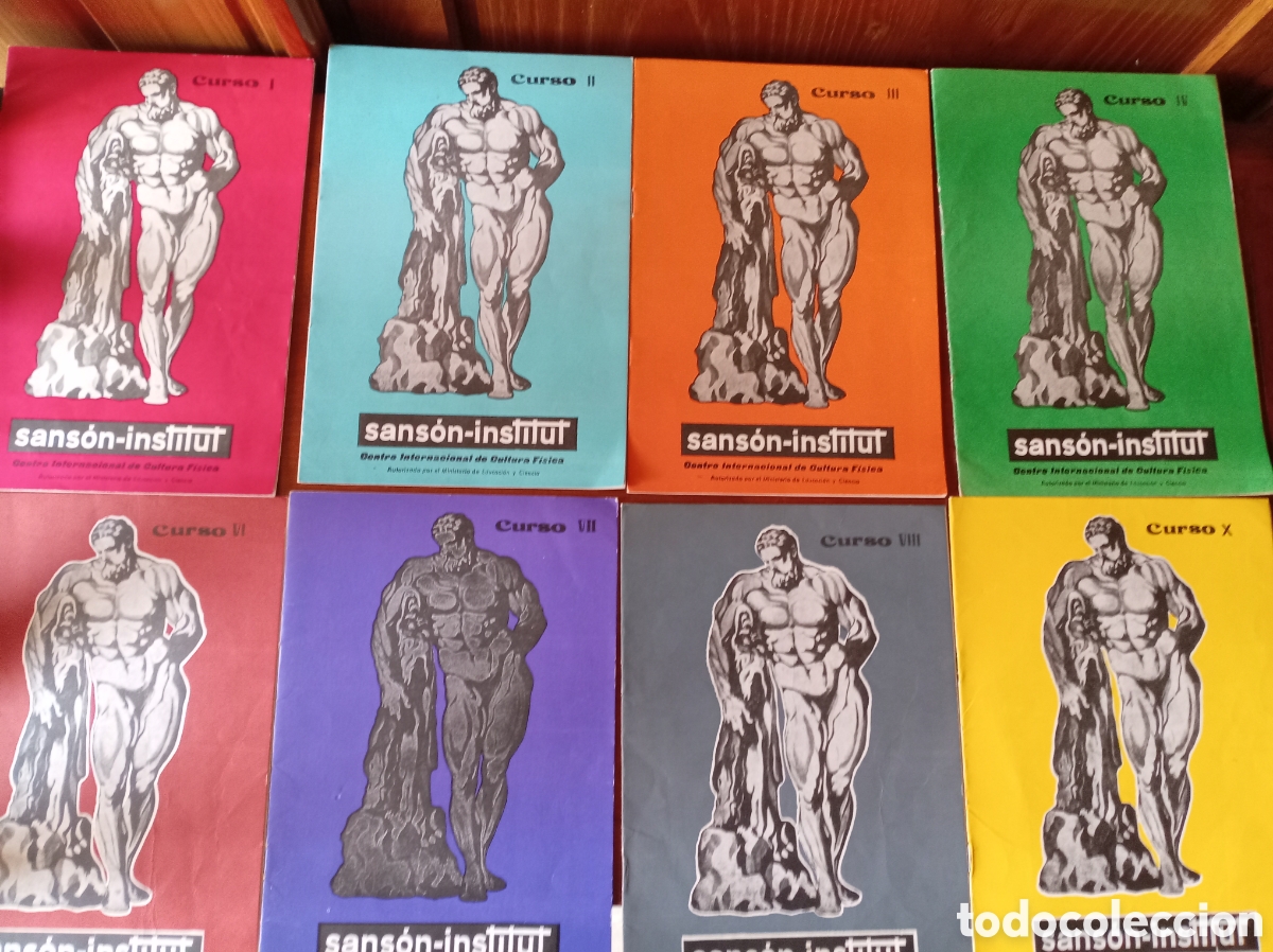 Libros de segunda mano: Lote fasciculos de Sans&oacute;n Institut