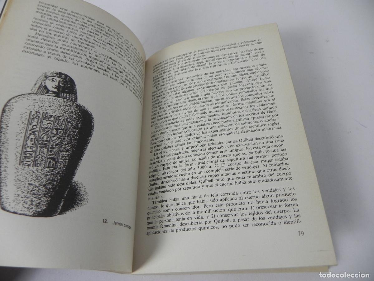 Libros de segunda mano: LAS PROFEC&Iacute;AS DE LAS PIR&Aacute;MIDE (MAX TOTH) MARTINEZ ROCA-1981 - Foto 3