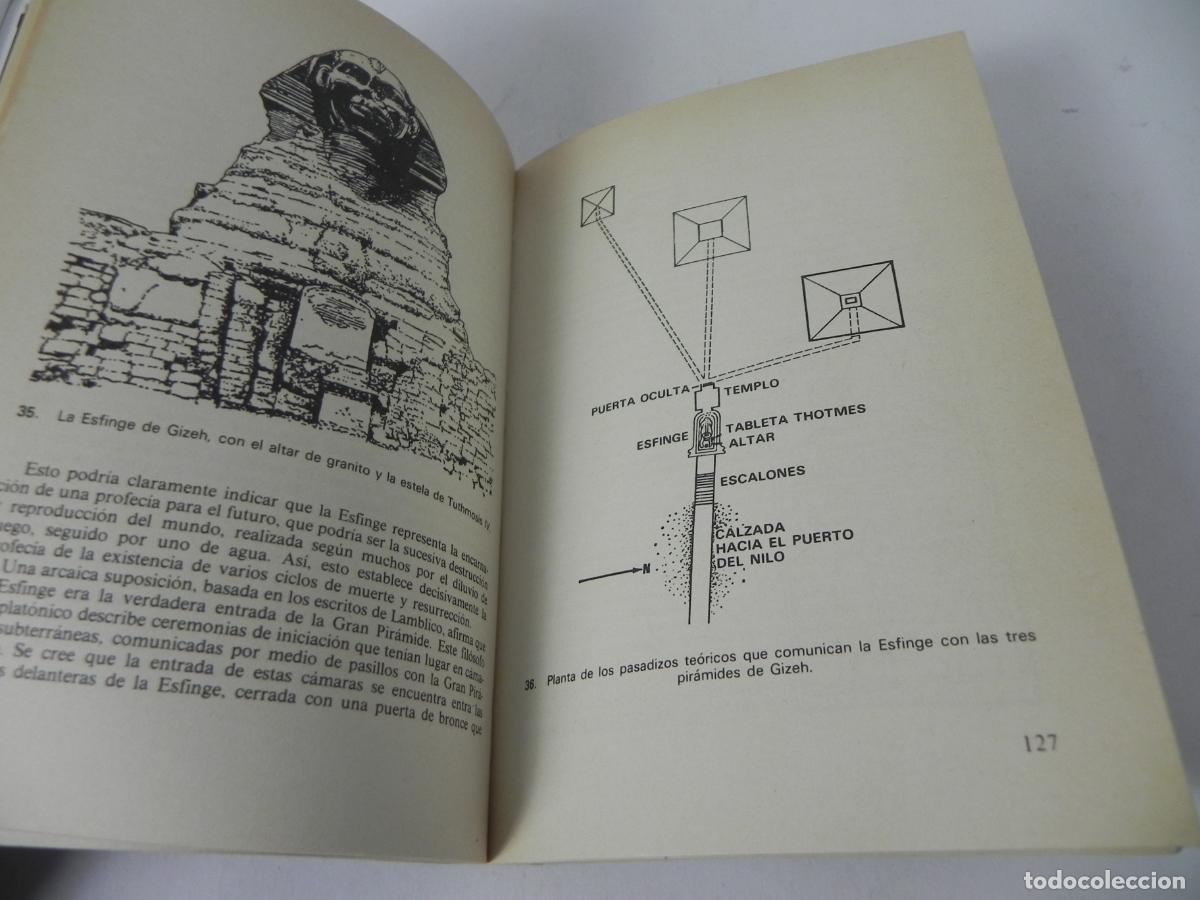Libros de segunda mano: LAS PROFEC&Iacute;AS DE LAS PIR&Aacute;MIDE (MAX TOTH) MARTINEZ ROCA-1981 - Foto 4
