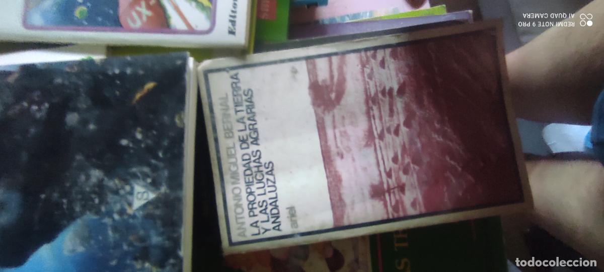 Libros de segunda mano: LA PROPIEDAD DE LA TIERRA Y LAS LUCHAS AGRARIAS ANDALUZAS (ANTONIO MIGUEL BERNAL)