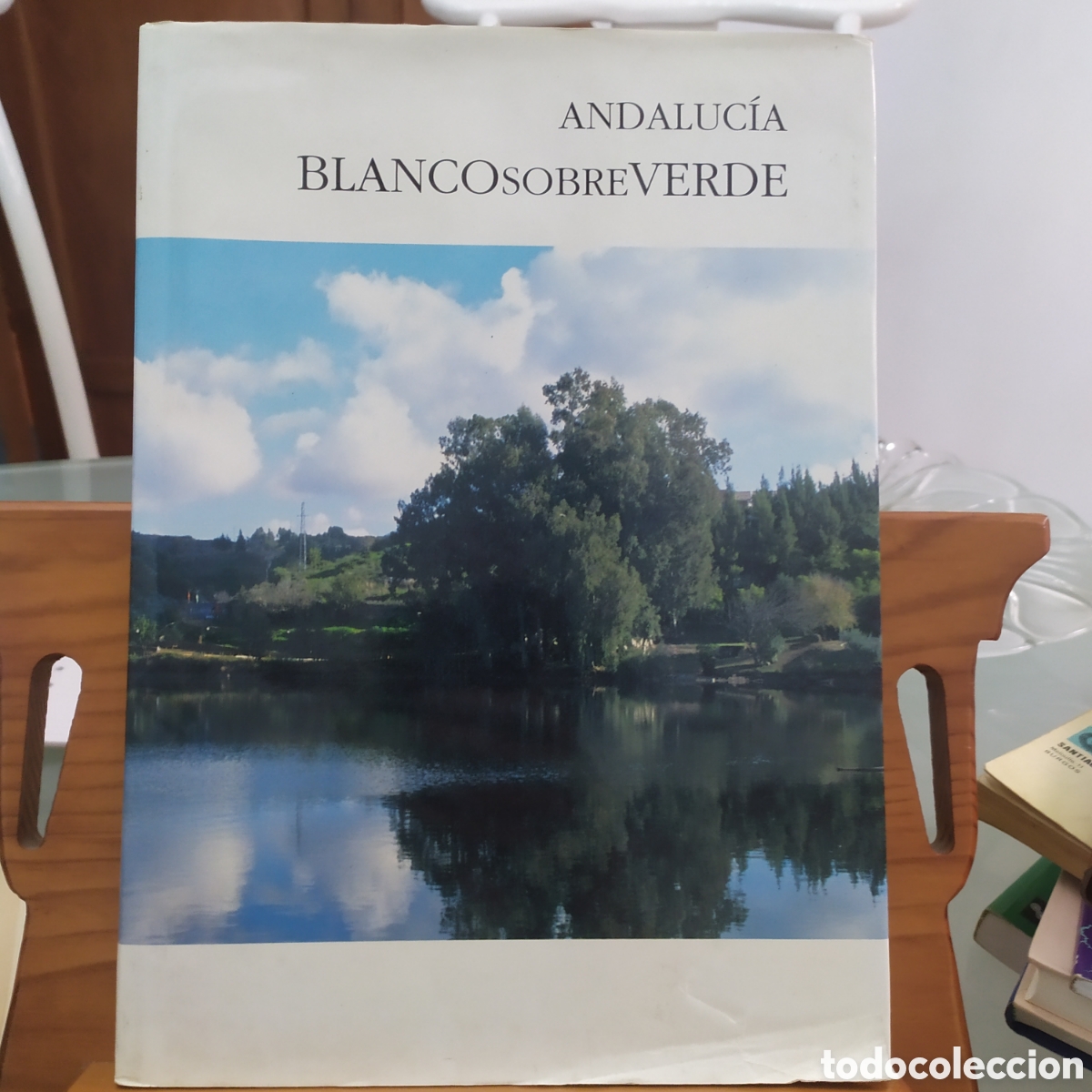 Libros de segunda mano: Libro en gran formato con tapas duras con sobrecubiertas publicado por la Junta de Andaluc&iacute;a, Andalu
