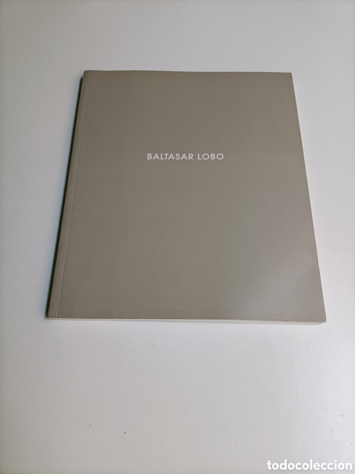 Libros de segunda mano: Baltasar lobo. Galer&iacute;a Leandro Navarro Madrid 2002 escultura