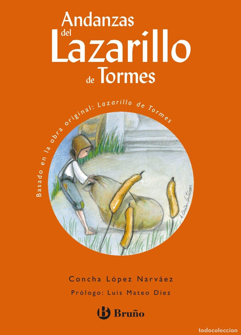 Libros de segunda mano: Andanzas del Lazarillo de Tormes (Castellano - A PARTIR DE 10 A&Ntilde;OS - ANDANZAS)