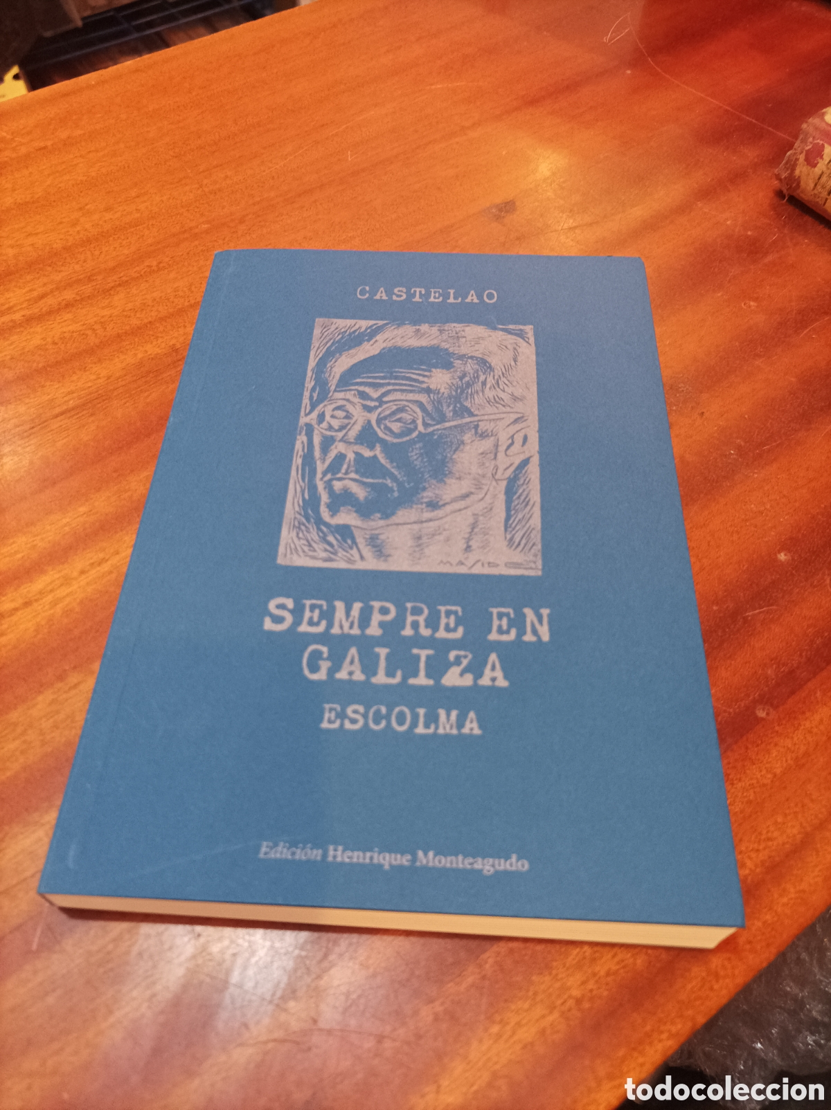 Libros de segunda mano: SEMPRE EN GALIZA CASTELAO .ESCOLMA. EDICI&Oacute;N HENR&Iacute;QUE MONTEAGUDO. 2025