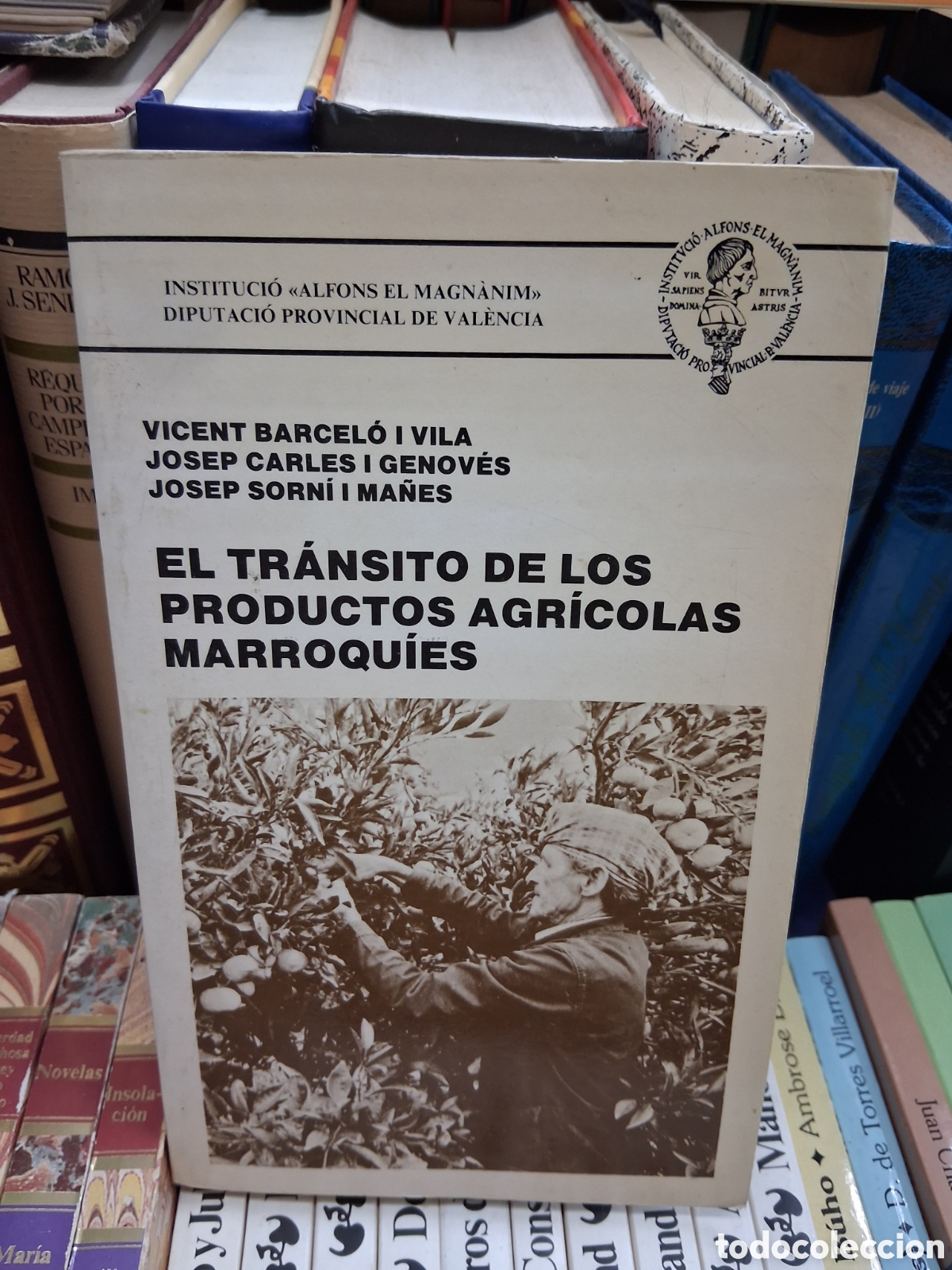 Libros de segunda mano: El tr&aacute;nsito de los productos agr&iacute;colas marroqu&iacute;es. Institut Alfons el magnanim