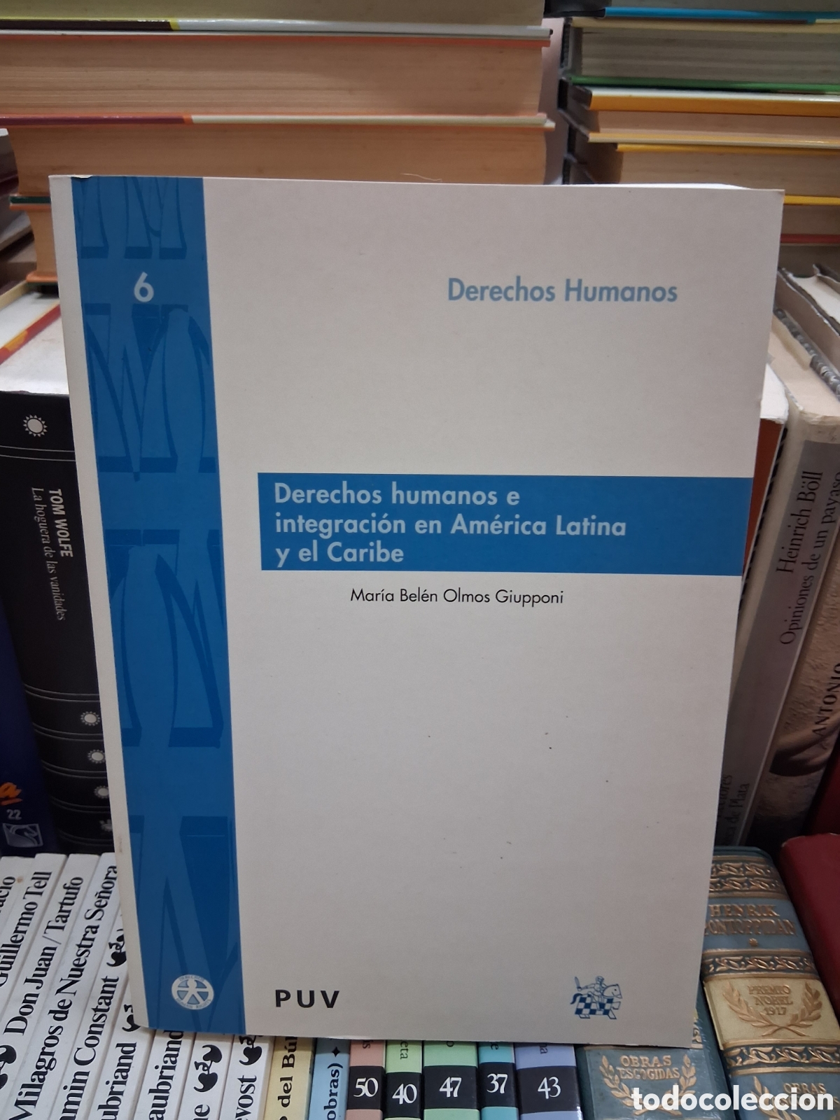 Libros de segunda mano: Derechos humanos e integraci&oacute;n en Am&eacute;rica Latina y el Caribe. Mar&iacute;a Bel&eacute;n Olmos Giupponi - PUV