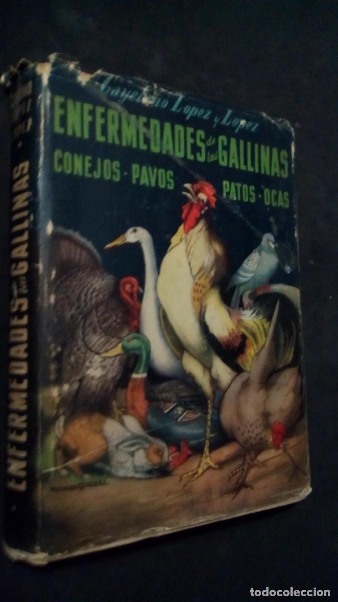 Libros de segunda mano: Enfermedades de las gallinas, conejos, pavos, patos y ocas. Cayetano L&oacute;pez, Ed. Gea, 1953