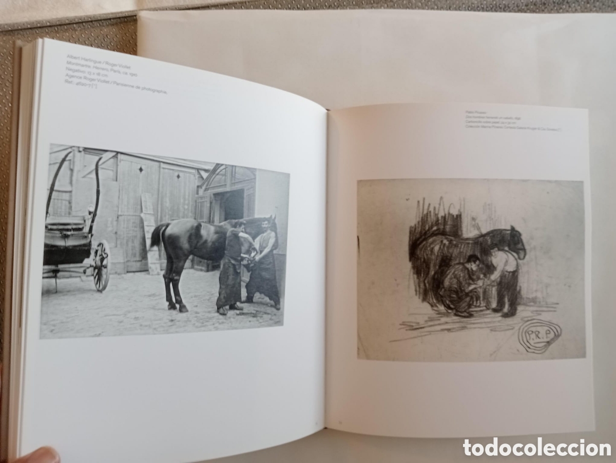 Libros de segunda mano: Picasso. Caballos. Museo Picasso M&aacute;laga, 2010. - Foto 3