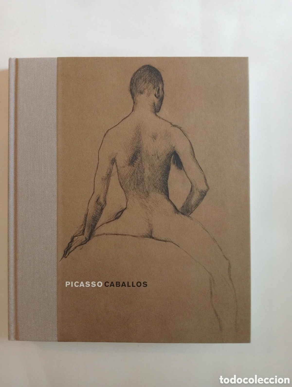 Libros de segunda mano: Picasso. Caballos. Museo Picasso M&aacute;laga, 2010.