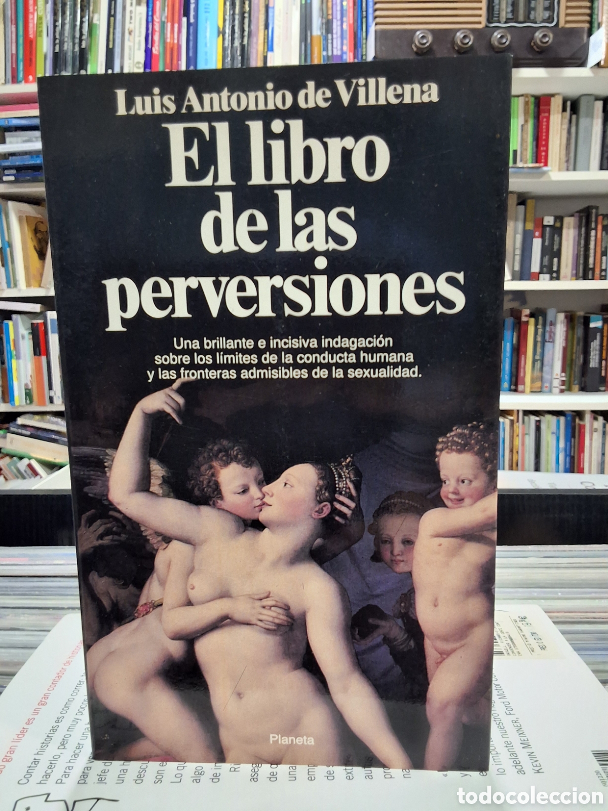 Libros de segunda mano: EL LIBRO DE LAS PERVERSIONES - SOBRE LOS L&Iacute;MITES DE LA CONDUCTA HUMANA Y SEXUALIDAD - DE VILLENA