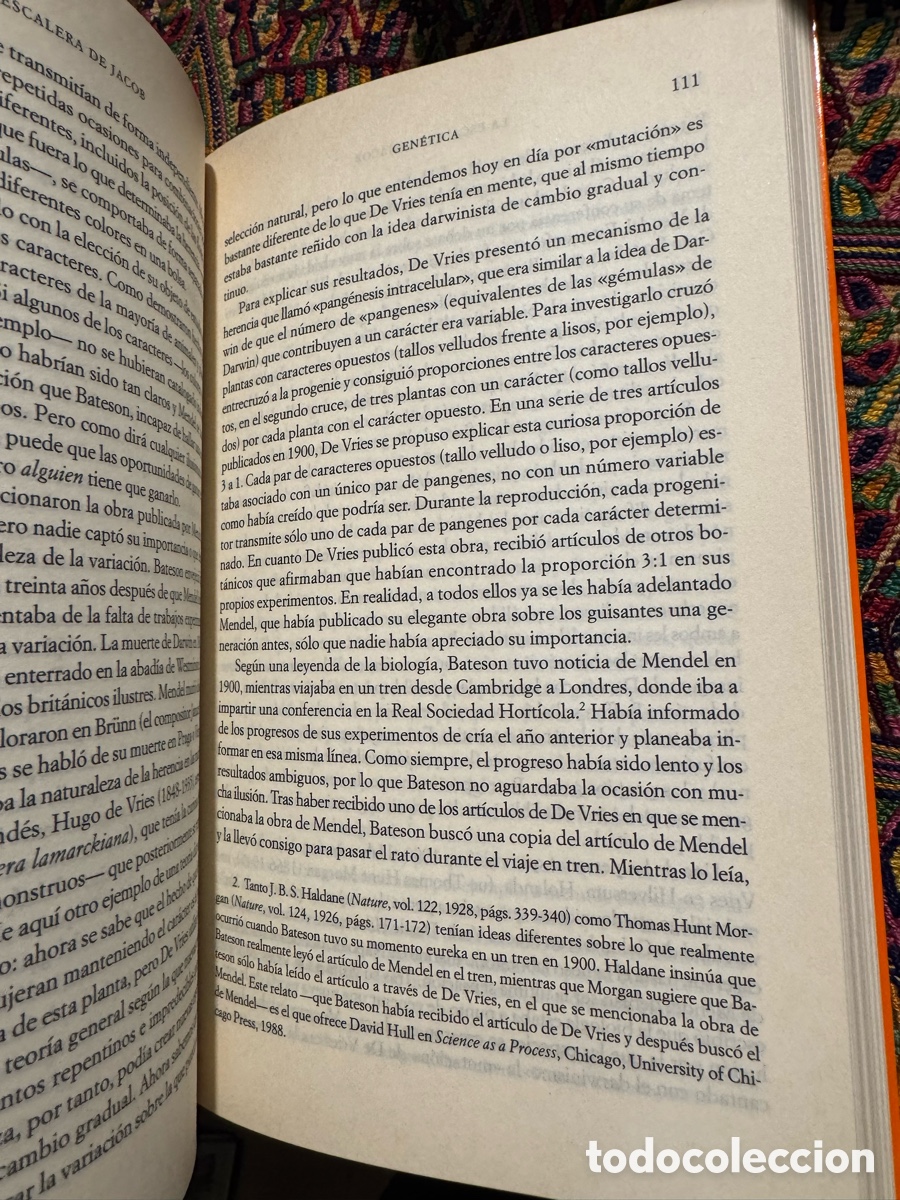 Libros de segunda mano: La escalera de Jacob Henry Gee - Foto 3