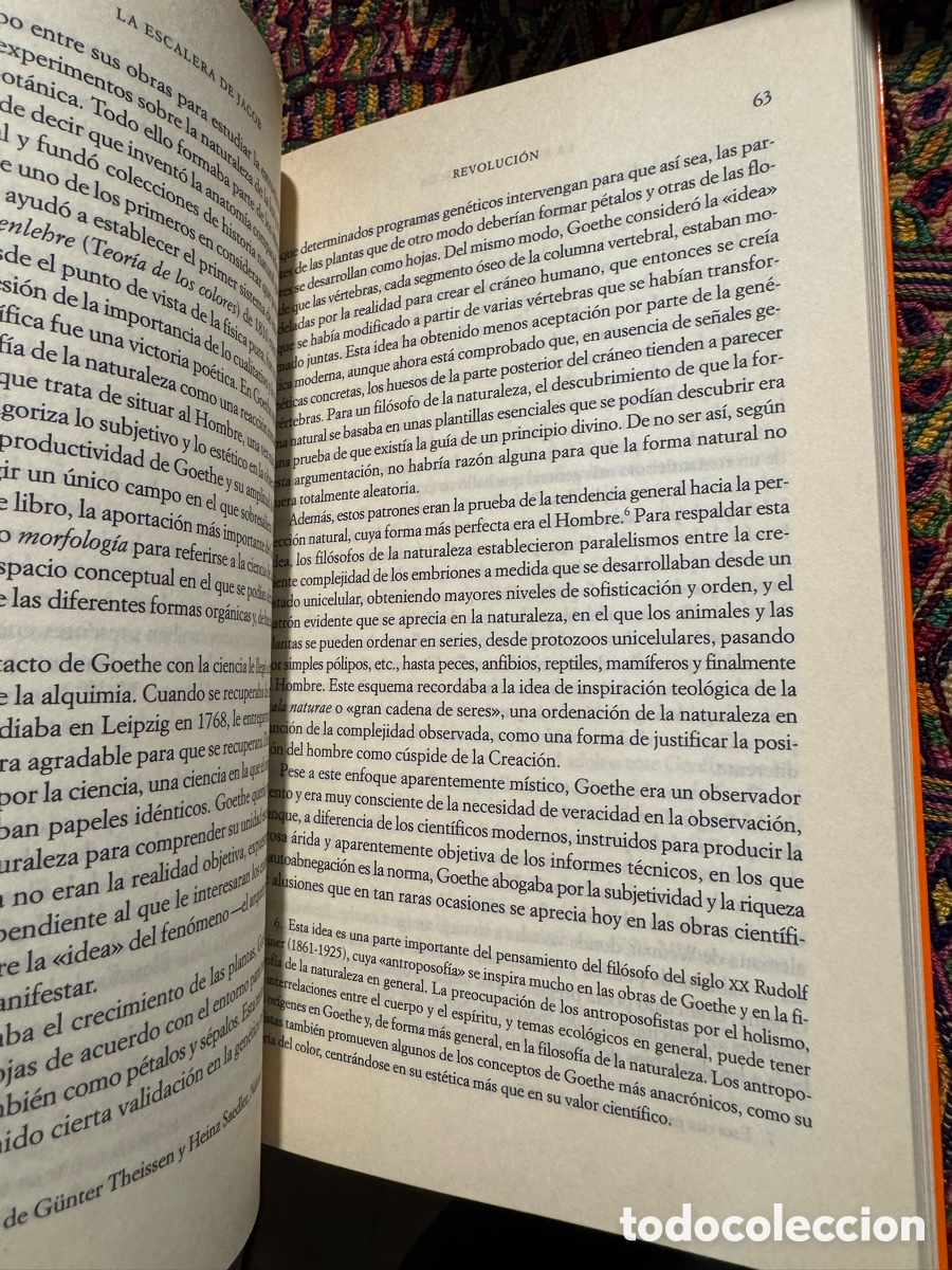 Libros de segunda mano: La escalera de Jacob Henry Gee - Foto 4