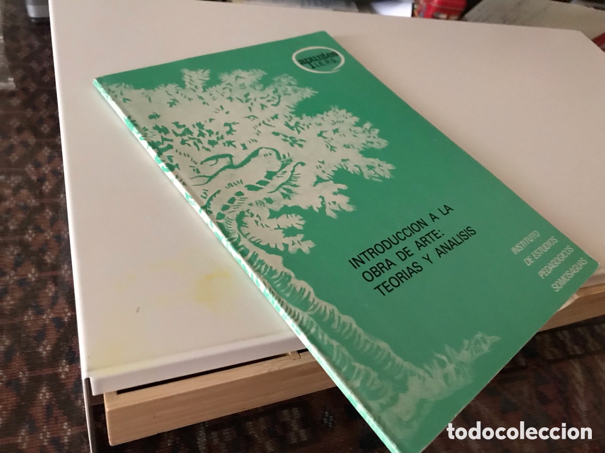Libros de segunda mano: Introducci&oacute;n a la obra de arte: teor&iacute;as y an&aacute;lisis - Foto 1