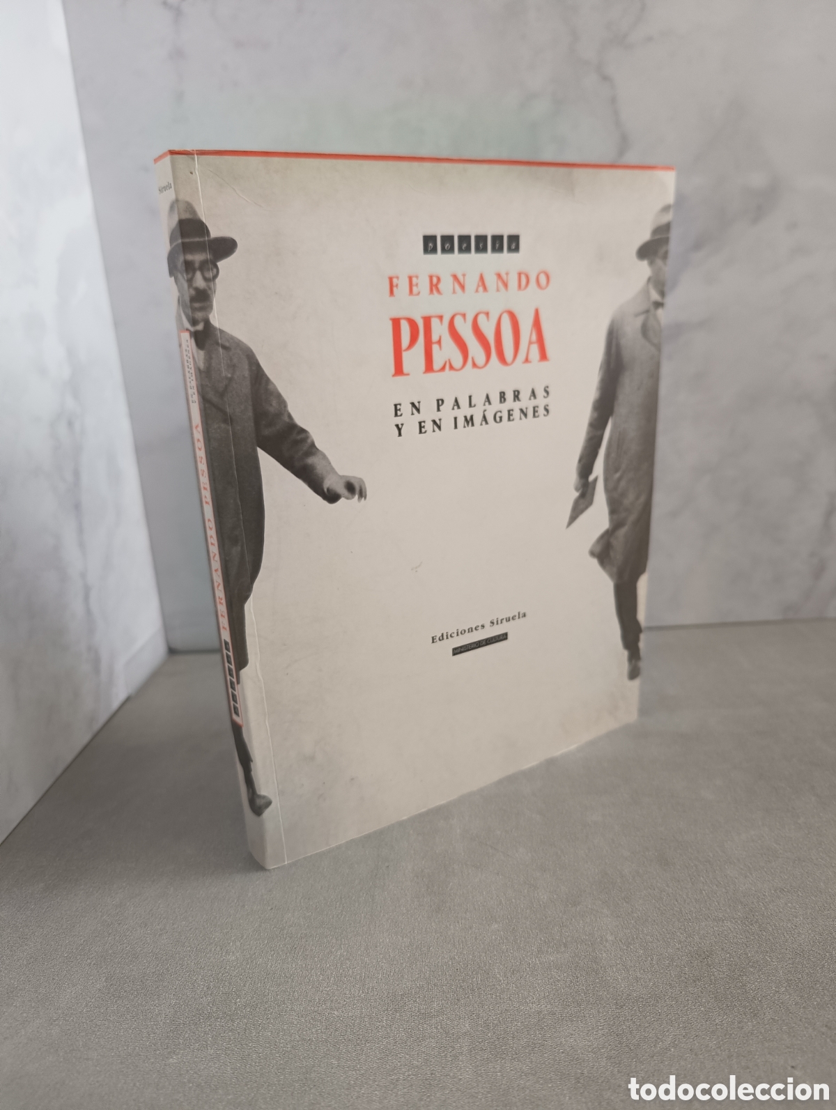 Libros de segunda mano: FERNANDO PESSOA. EN PALABRAS Y EN IM&Aacute;GENES. EDICIONES SIRUELA. Poes&iacute;a