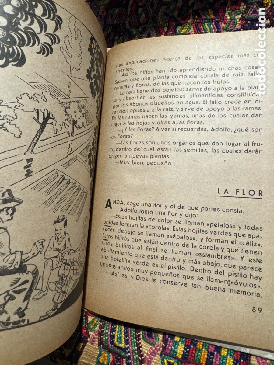 Libros de segunda mano: Surcos de paz Magisterio espa&ntilde;ol - Foto 7