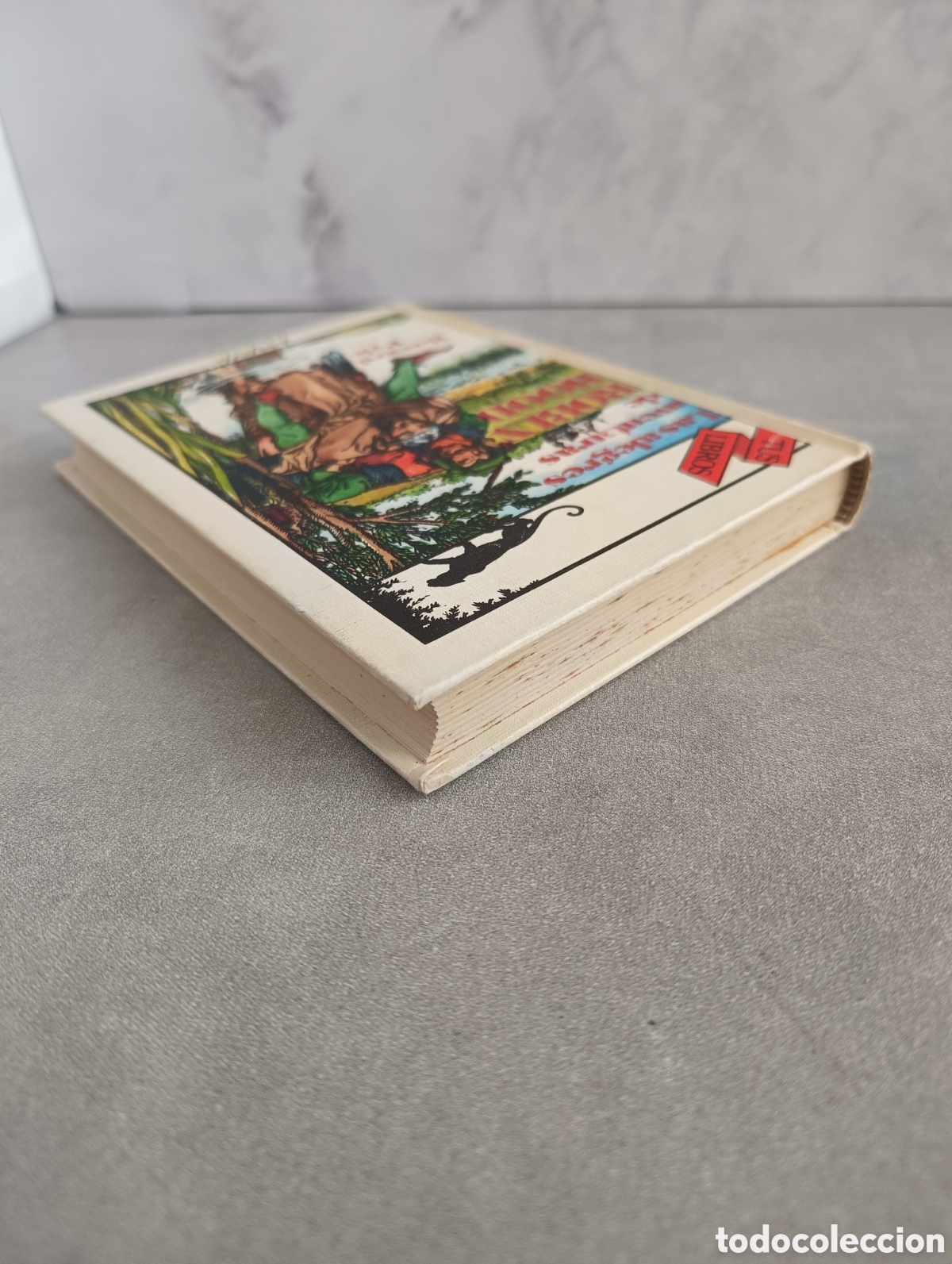 Libros de segunda mano: HOWARD PYLE. LAS ALEGRES AVENTURAS DE ROBIN HOOD. ANAYA TUS LIBROS. PRIMERA EDICI&Oacute;N - Foto 12