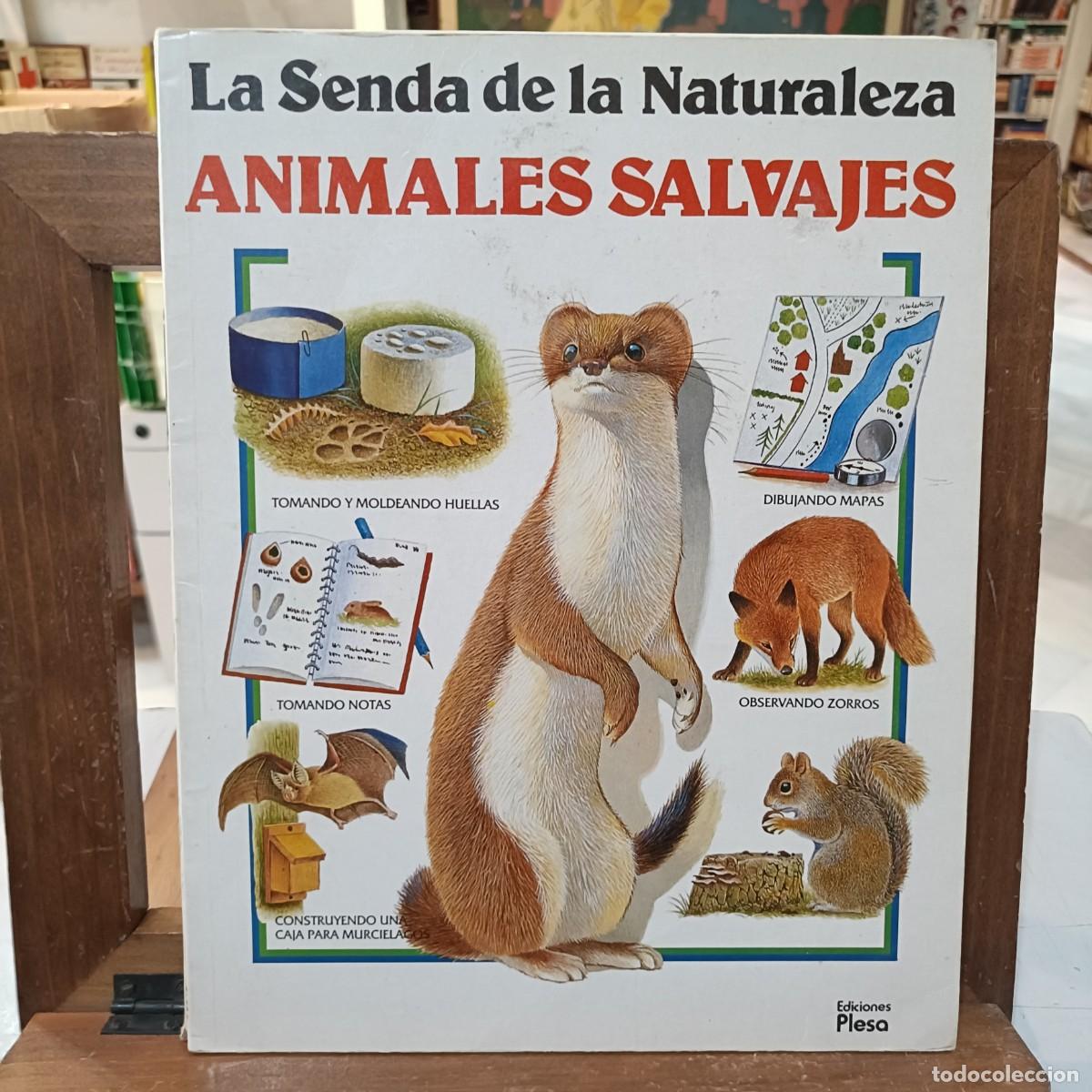 Libros de segunda mano: Animales Salvajes - La Senda de la Naturaleza - Ediciones Plesa
