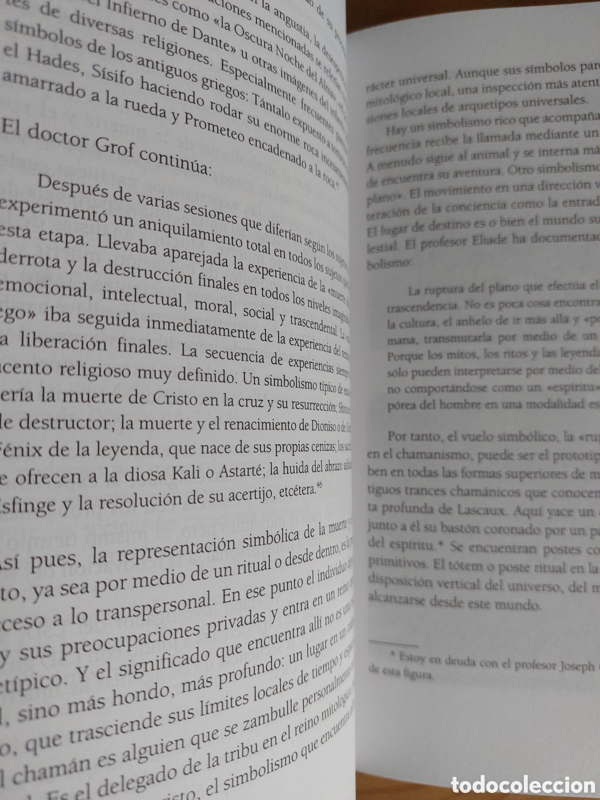 Libros de segunda mano: La puerta del cham&aacute;n - Foto 4