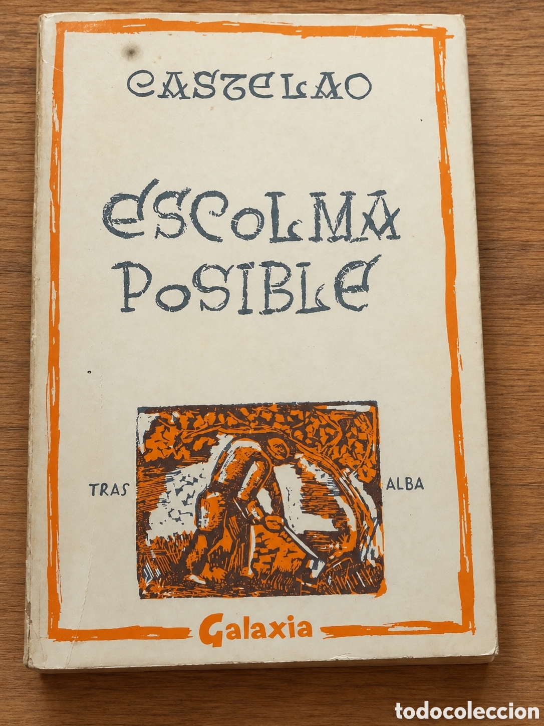 Libros de segunda mano: ALFONSO RODR&Iacute;GUEZ CASTELAO &ndash; ESCOLMA POSIBLE &ndash; EDITORIAL GALAXIA &ndash; LML