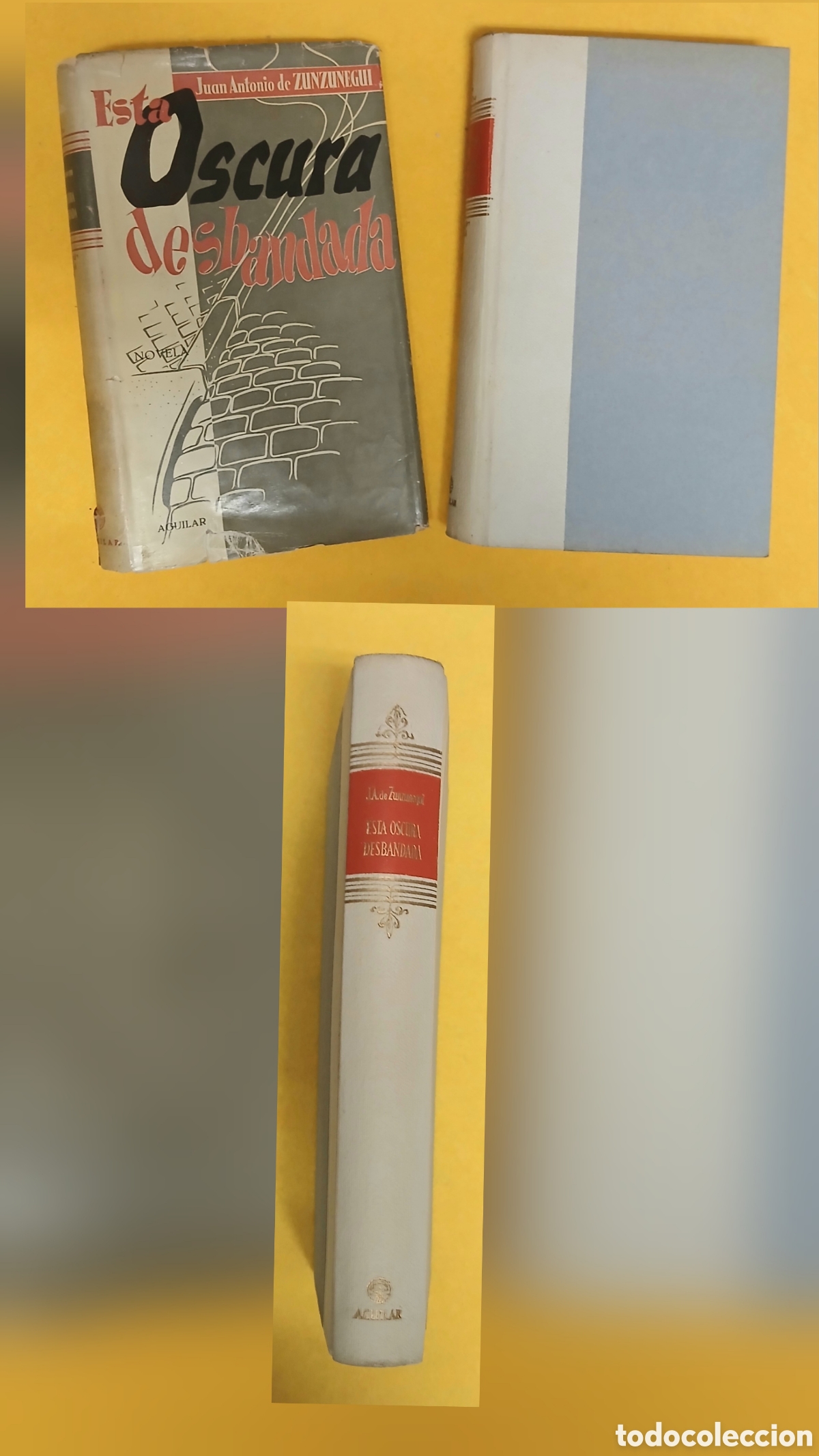Libros de segunda mano: Esta oscura desbandada