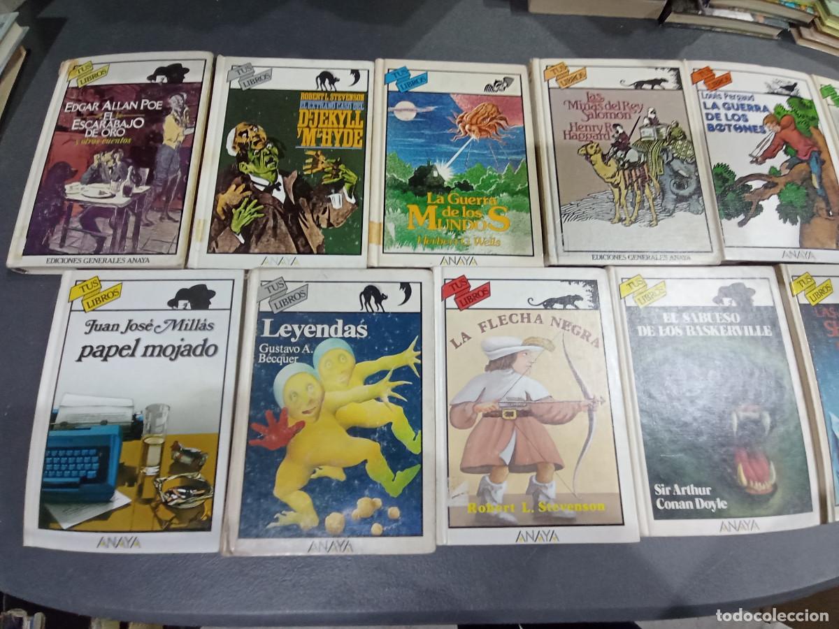 Libros de segunda mano: LOTE 13 LIBROS TUS LIBROS ANAYA B3 - Foto 3
