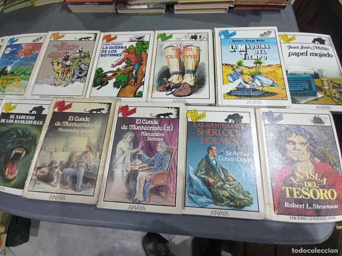 Libros de segunda mano: LOTE 13 LIBROS TUS LIBROS ANAYA B3