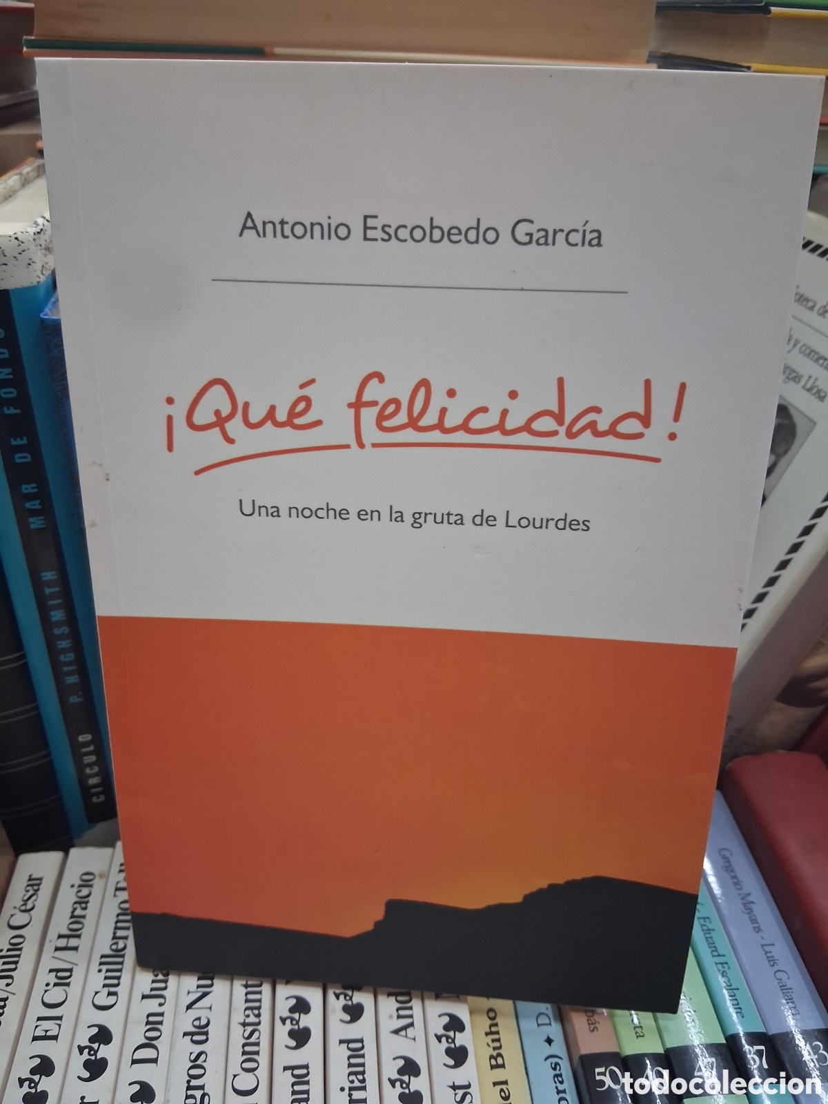 Libros de segunda mano: &iexcl;Qu&eacute; felicidad! Una noche en la gruta de Lourdes. Antonio Escobedo Garcia. Defoto libros