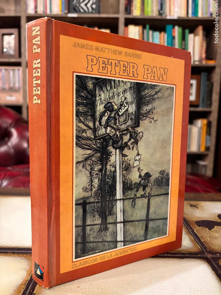 Libros de segunda mano: Peter Pan. James Matthew Barrie. Editorial Juventud.