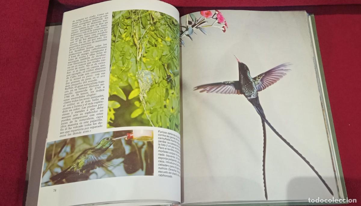 Libros de segunda mano: Libro Enigmas de la Naturaleza