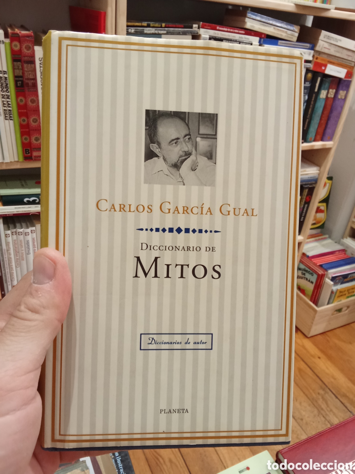 Libros de segunda mano: Diccionario de Mitos - Carlos Garcia Gual