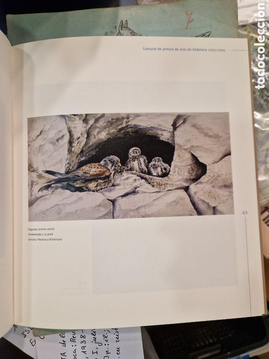 Libros de segunda mano: Las AVES de Andaluc&iacute;a: una visi&oacute;n dibujada - Foto 2