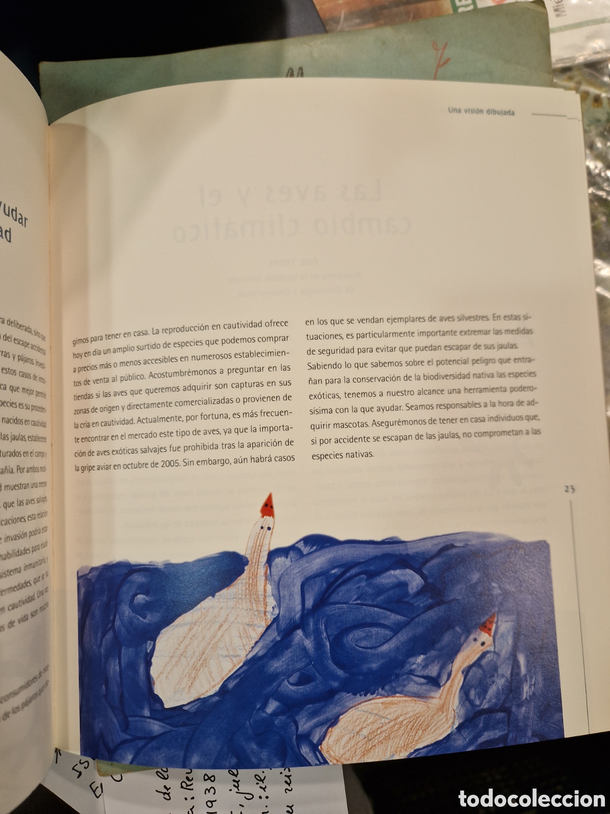 Libros de segunda mano: Las AVES de Andaluc&iacute;a: una visi&oacute;n dibujada - Foto 3