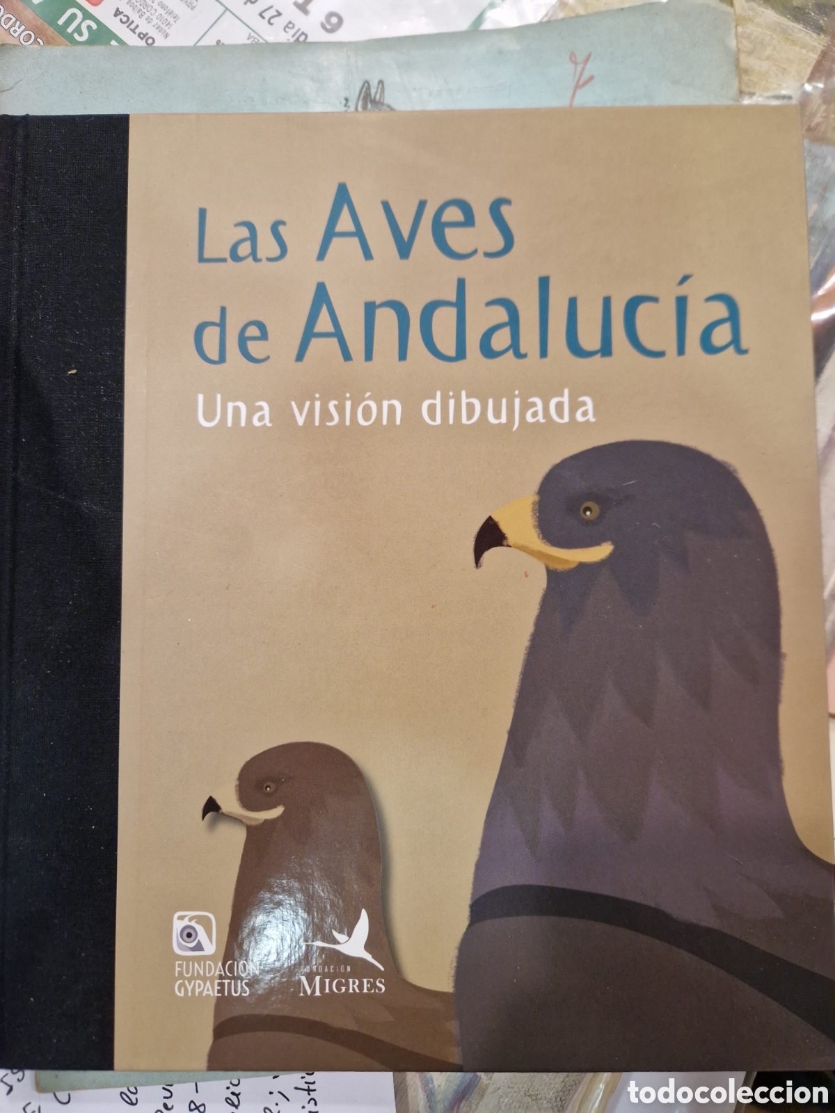 Libros de segunda mano: Las AVES de Andaluc&iacute;a: una visi&oacute;n dibujada - Foto 1