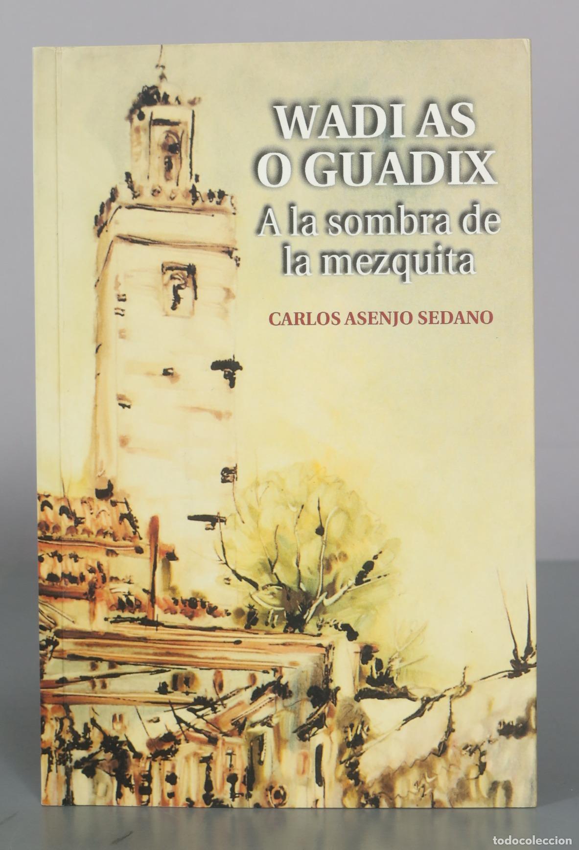 Libros de segunda mano: Wadi As O Guadix - A la sombra de la mezquita - Carlos Asenjo Sedano - Fundacion Euroarabe