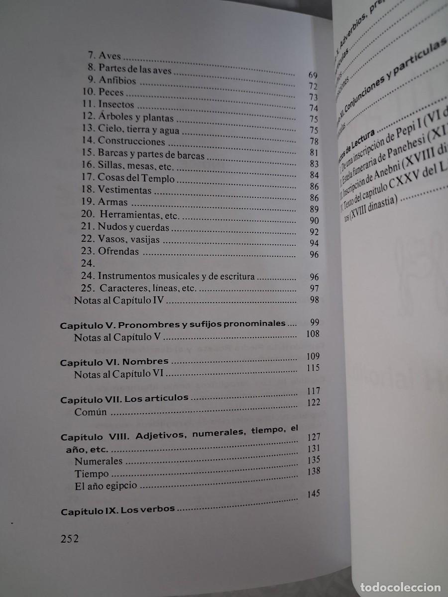 Libros de segunda mano: JEROGL&Iacute;FICOS EGIPCIOS , WALLIS BUDGE - Foto 4