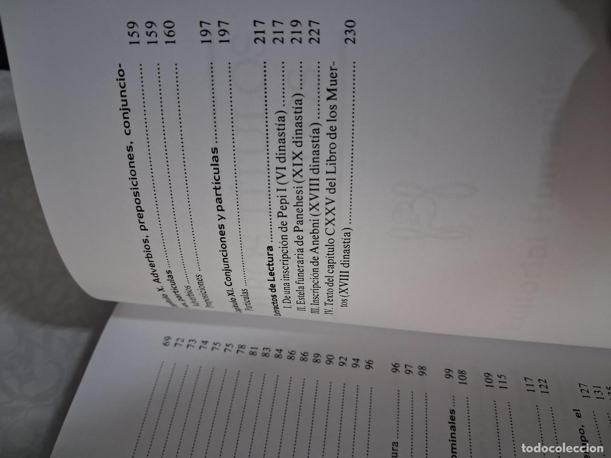 Libros de segunda mano: JEROGL&Iacute;FICOS EGIPCIOS , WALLIS BUDGE - Foto 5