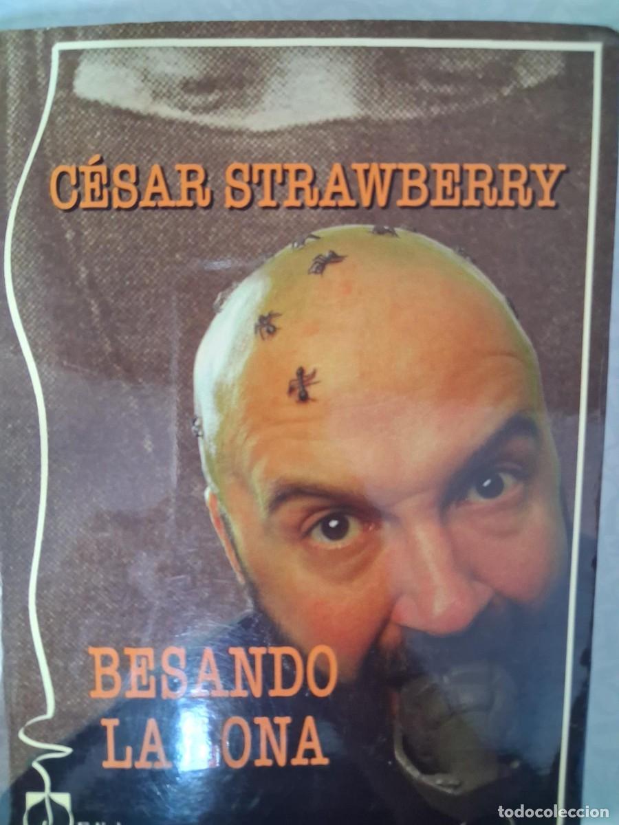 Libros de segunda mano: BESANDO LA LONA. CESAR STRAWBERRY. DEF CON DOS.