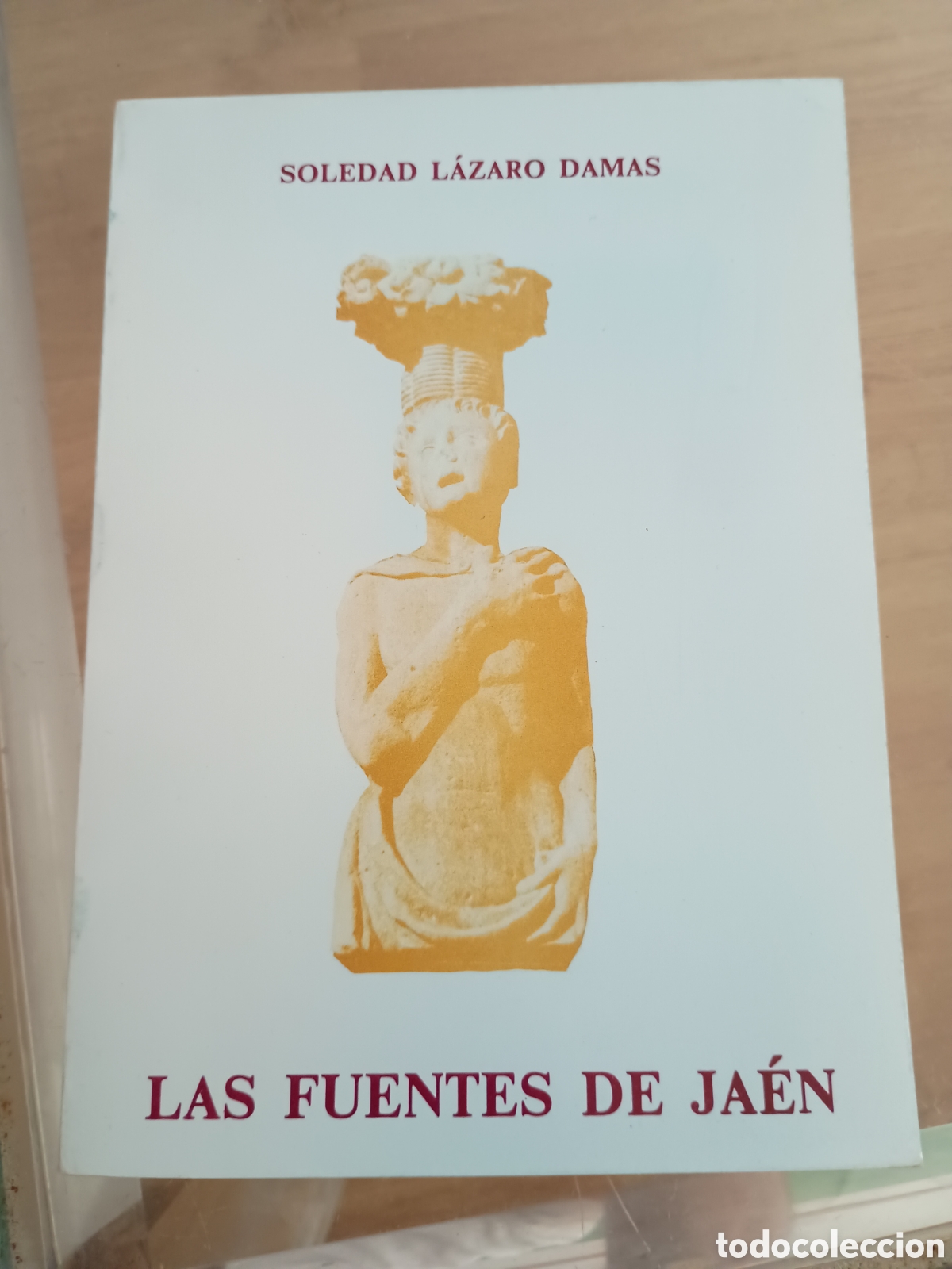 Libros de segunda mano: 2.2 Las Fuentes de Ja&eacute;n. Soledad L&aacute;zaro Damas. - Foto 1